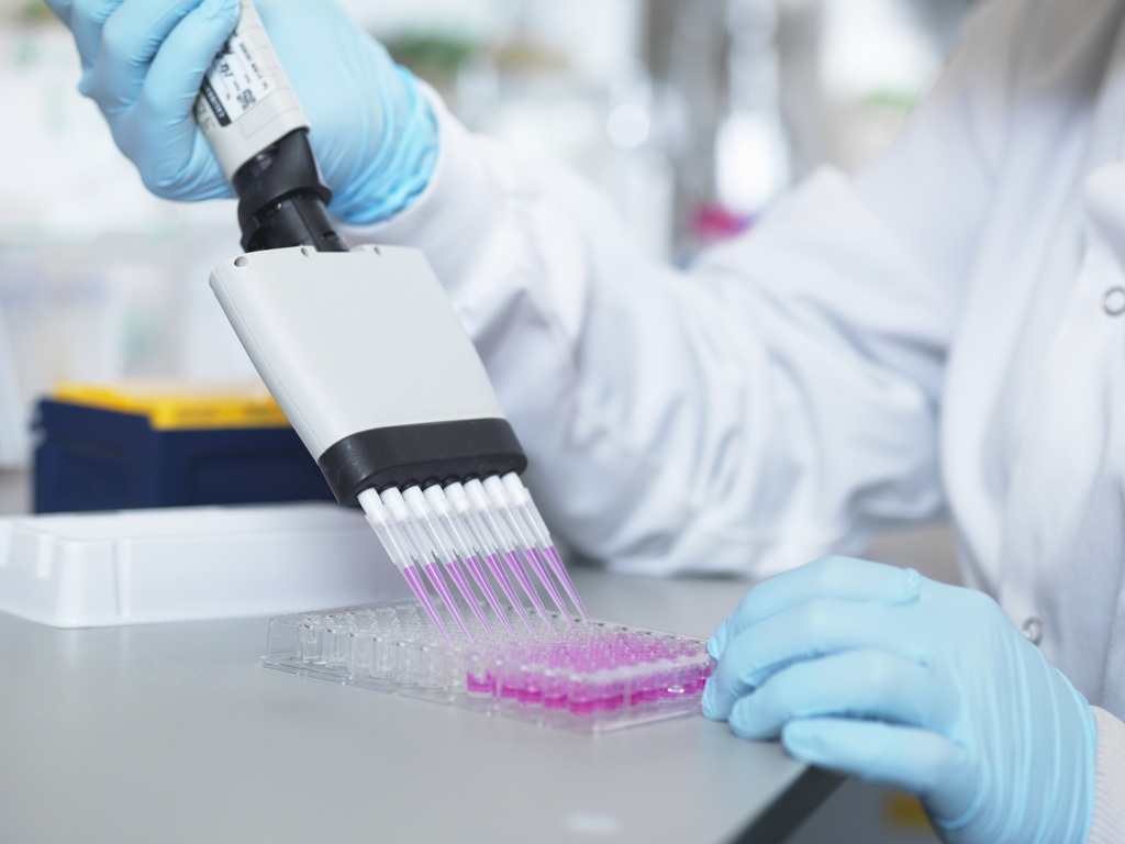 Chicken IgY ELISA (96 Determinations)