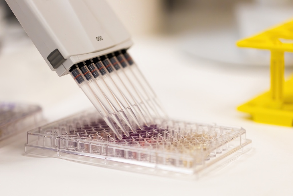 AmpliStar-II 0.2ml Domed Cap PCR Tubes - 10x1000