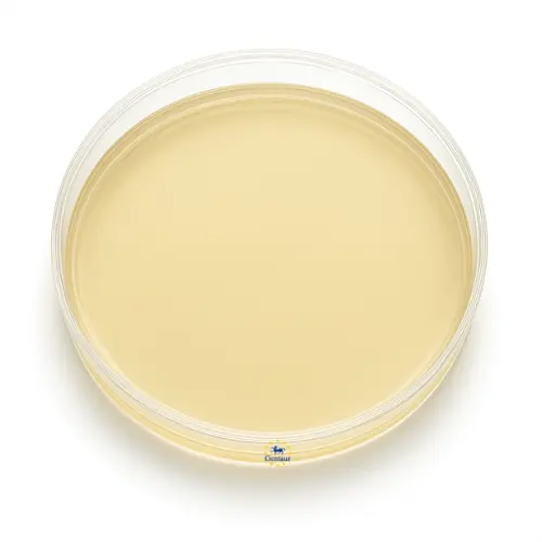 Ampicillin Dextrin Agar Base